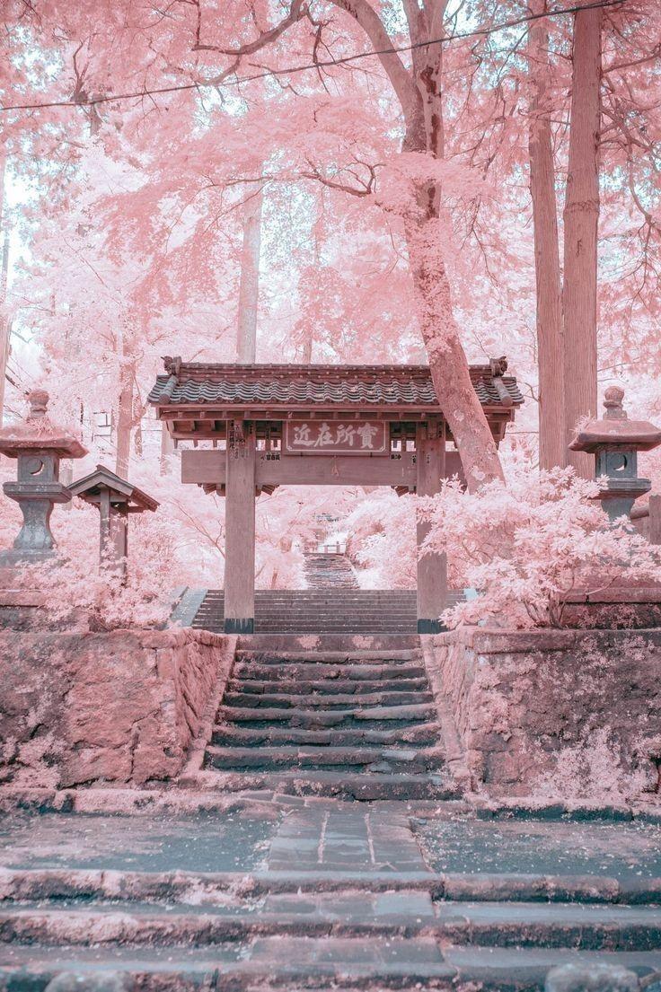 標題名子