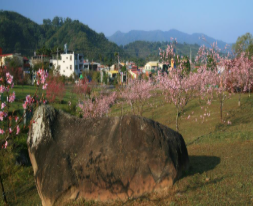 小半天石馬公園